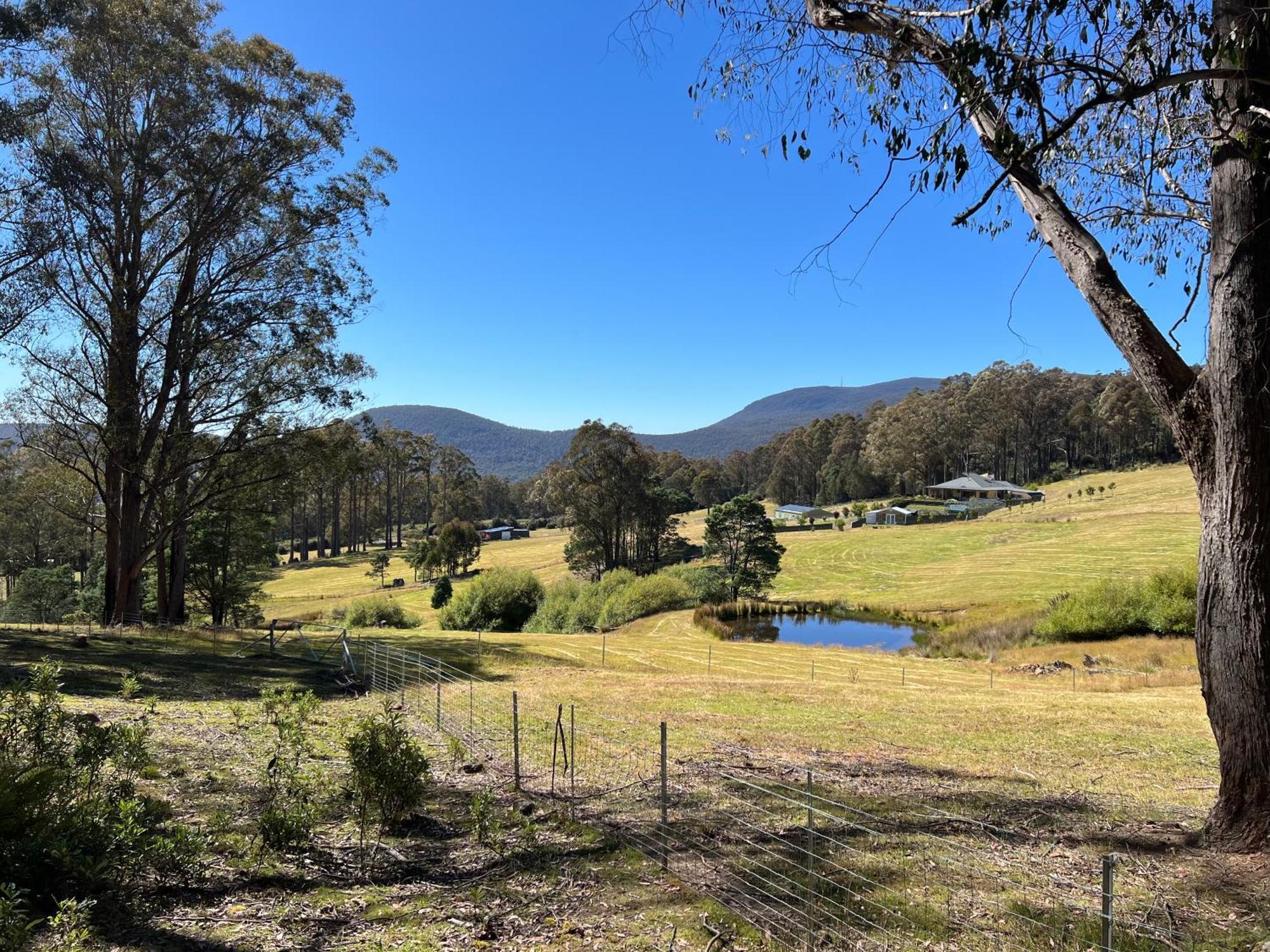 شقة Amaroo With A View Set On A 50 Acre Hobby Farm Collinsvale المظهر الخارجي الصورة