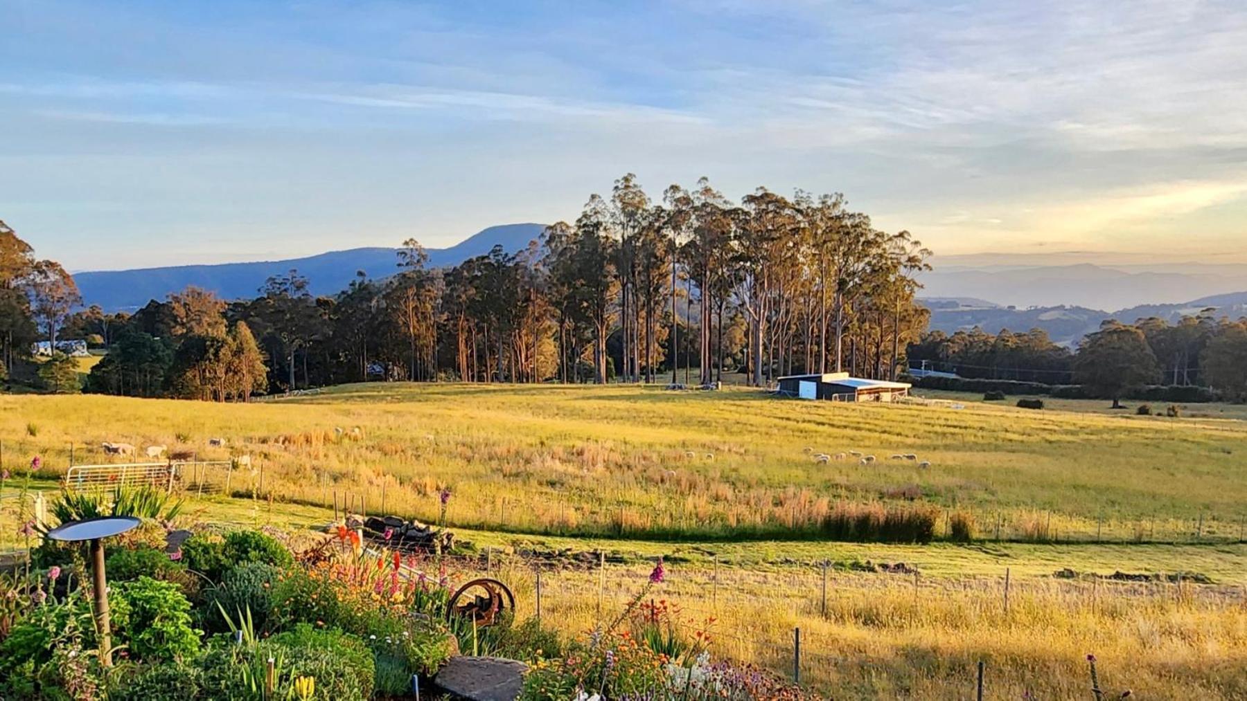شقة Amaroo With A View Set On A 50 Acre Hobby Farm Collinsvale المظهر الخارجي الصورة