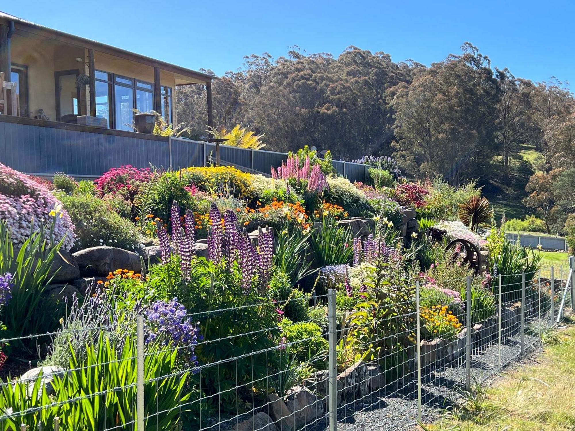 شقة Amaroo With A View Set On A 50 Acre Hobby Farm Collinsvale المظهر الخارجي الصورة